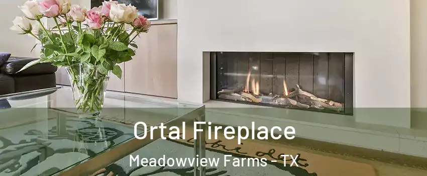 Ortal Fireplace Meadowview Farms - TX