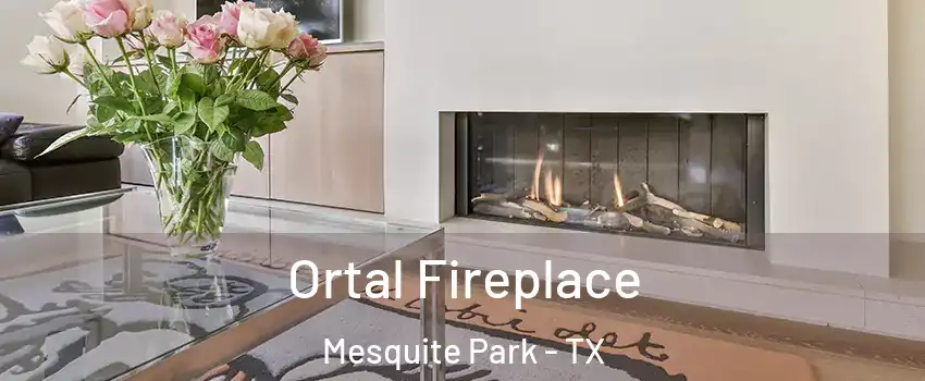 Ortal Fireplace Mesquite Park - TX