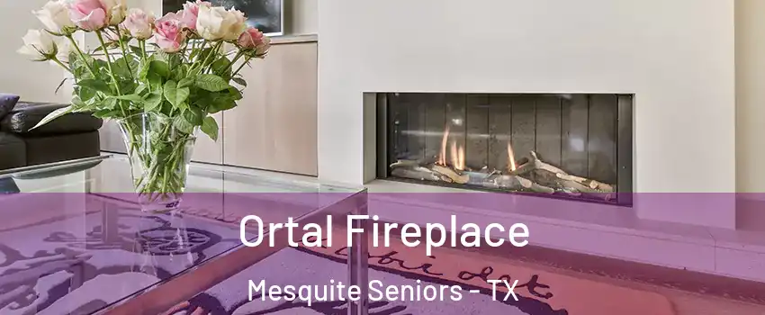 Ortal Fireplace Mesquite Seniors - TX