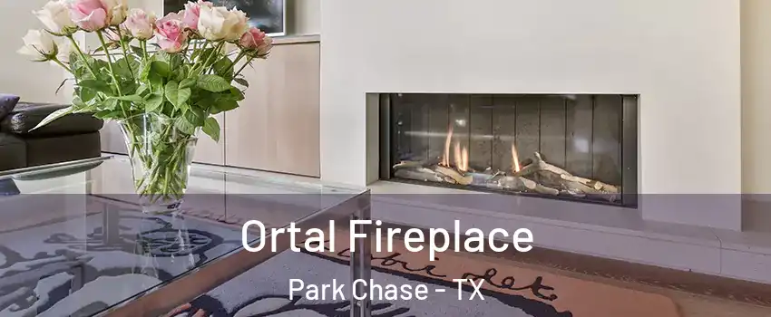 Ortal Fireplace Park Chase - TX