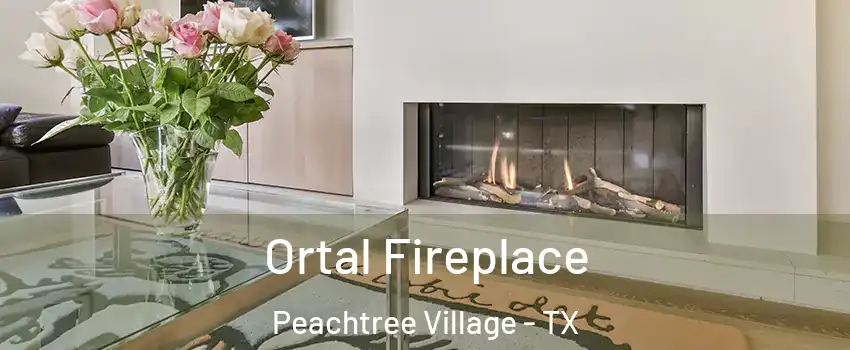Ortal Fireplace Peachtree Village - TX