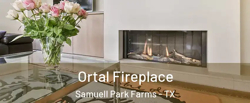 Ortal Fireplace Samuell Park Farms - TX