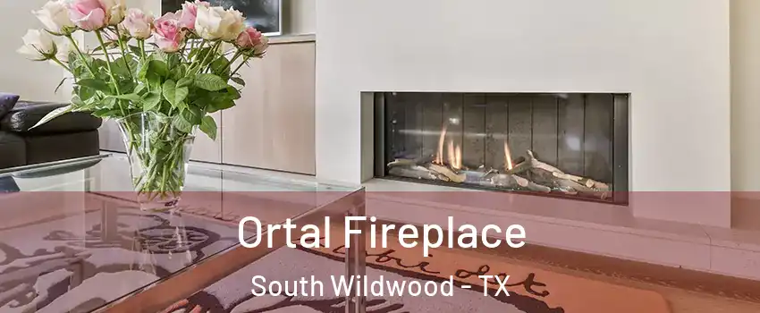 Ortal Fireplace South Wildwood - TX