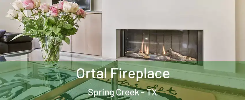 Ortal Fireplace Spring Creek - TX