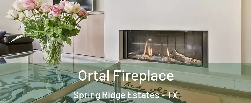 Ortal Fireplace Spring Ridge Estates - TX