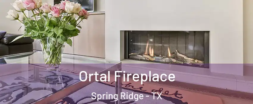 Ortal Fireplace Spring Ridge - TX