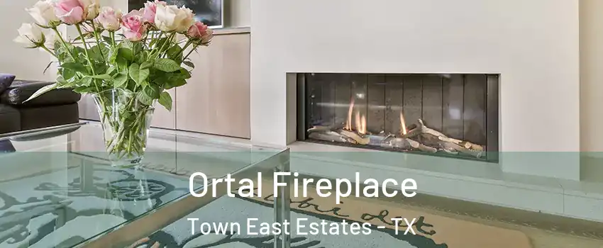 Ortal Fireplace Town East Estates - TX