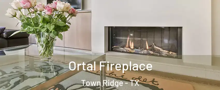 Ortal Fireplace Town Ridge - TX