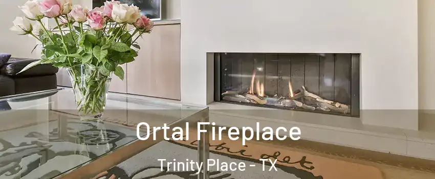 Ortal Fireplace Trinity Place - TX
