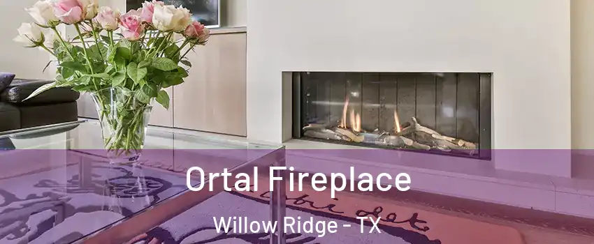 Ortal Fireplace Willow Ridge - TX