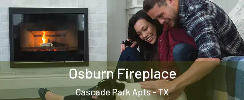 Osburn Fireplace Cascade Park Apts - TX