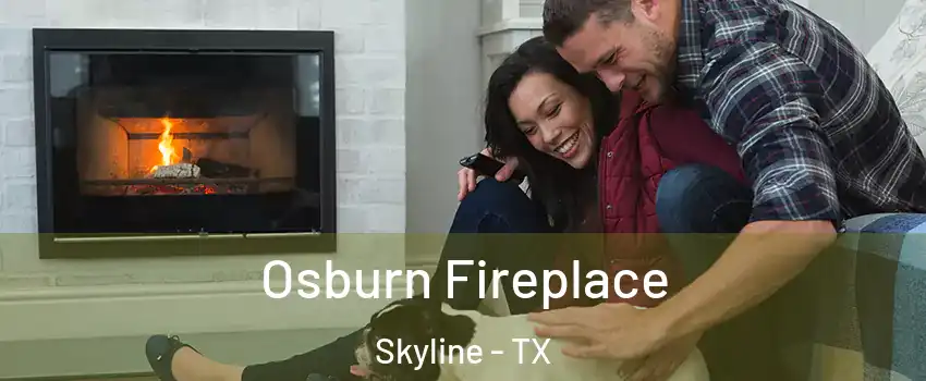 Osburn Fireplace Skyline - TX