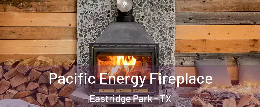 Pacific Energy Fireplace Eastridge Park - TX