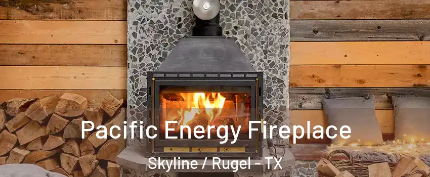 Pacific Energy Fireplace Skyline / Rugel - TX
