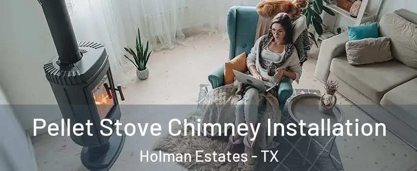 Pellet Stove Chimney Installation Holman Estates - TX