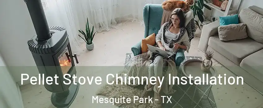 Pellet Stove Chimney Installation Mesquite Park - TX