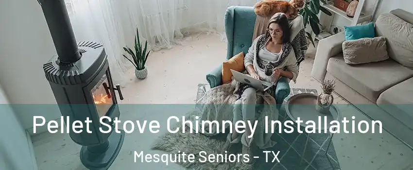 Pellet Stove Chimney Installation Mesquite Seniors - TX
