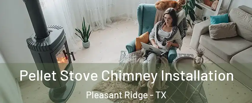 Pellet Stove Chimney Installation Pleasant Ridge - TX