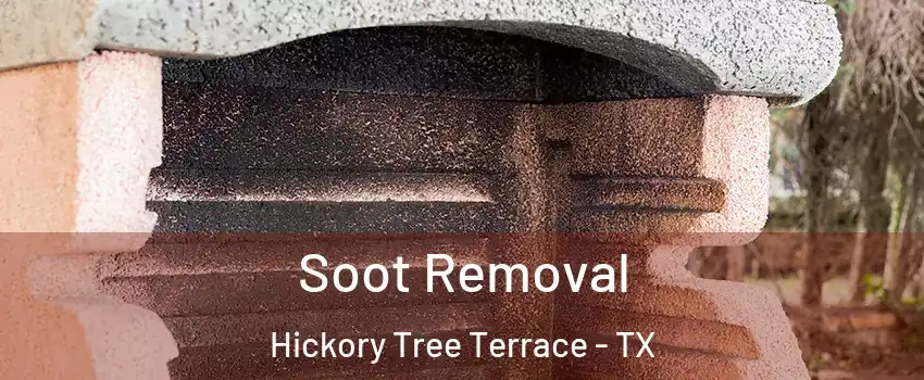 Soot Removal Hickory Tree Terrace - TX