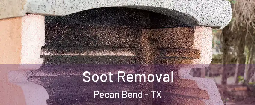 Soot Removal Pecan Bend - TX