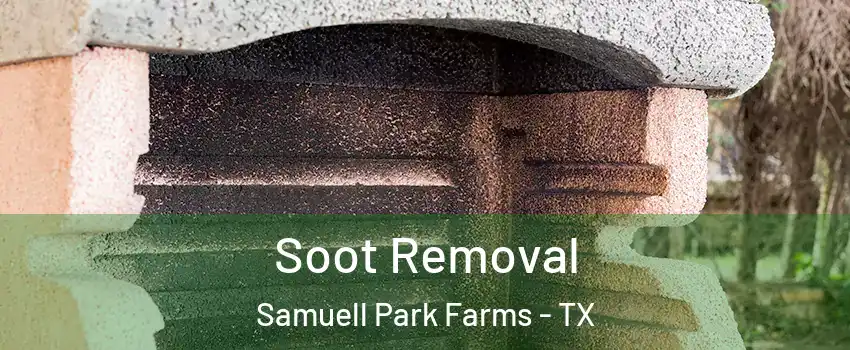 Soot Removal Samuell Park Farms - TX