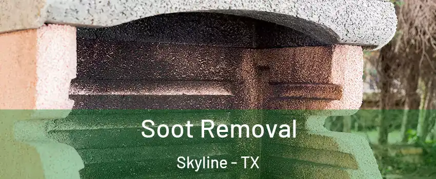 Soot Removal Skyline - TX