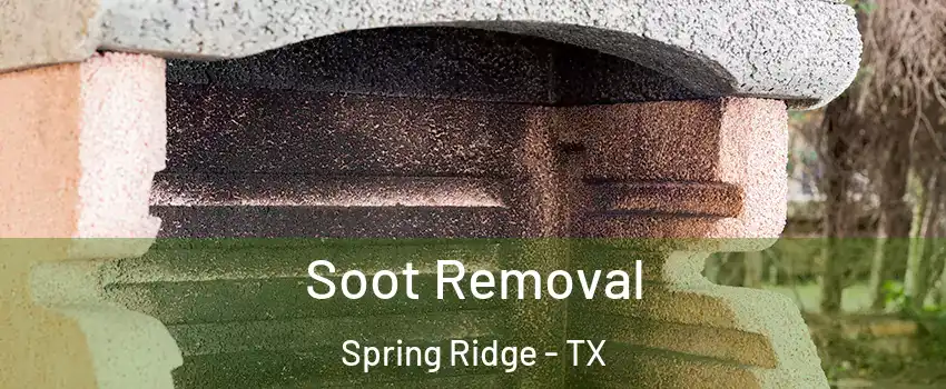 Soot Removal Spring Ridge - TX