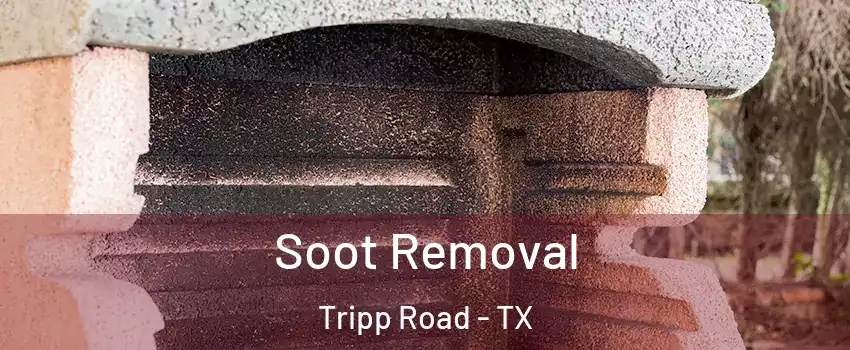 Soot Removal Tripp Road - TX