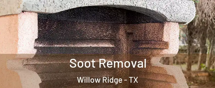 Soot Removal Willow Ridge - TX