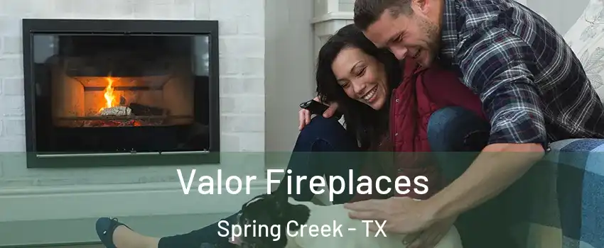 Valor Fireplaces Spring Creek - TX