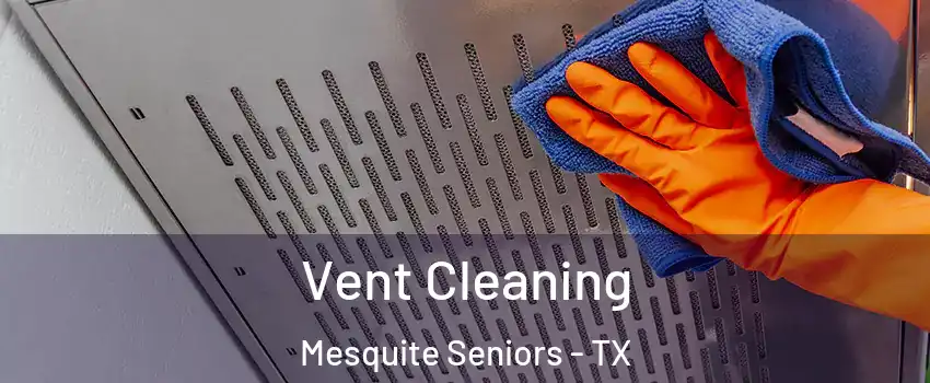 Vent Cleaning Mesquite Seniors - TX