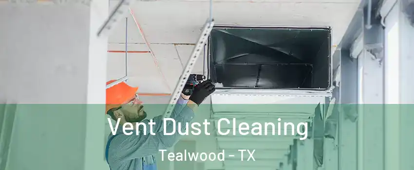Vent Dust Cleaning Tealwood - TX