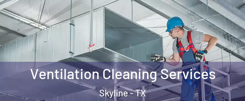 Ventilation Cleaning Services Skyline - TX