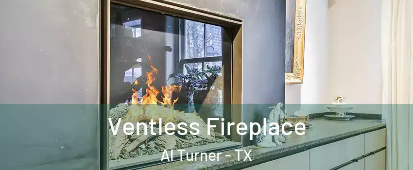 Ventless Fireplace Al Turner - TX