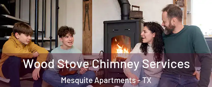 Wood Stove Chimney Services Mesquite Apartments - TX