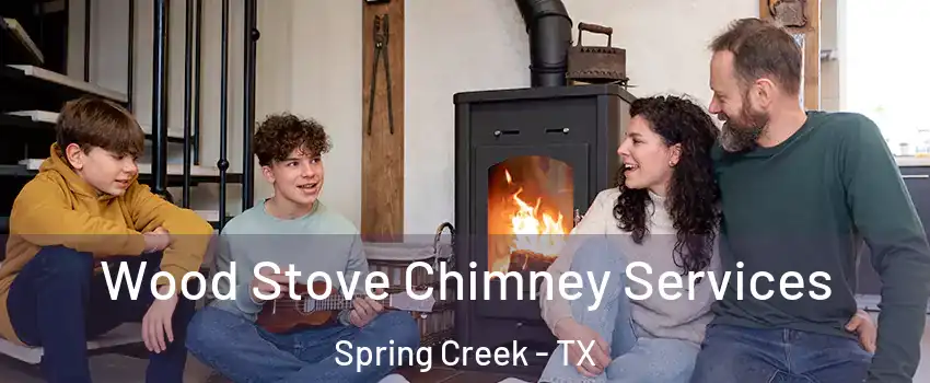 Wood Stove Chimney Services Spring Creek - TX