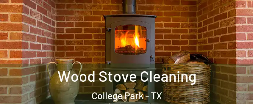 Wood Stove Cleaning College Park - TX