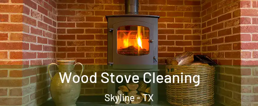 Wood Stove Cleaning Skyline - TX