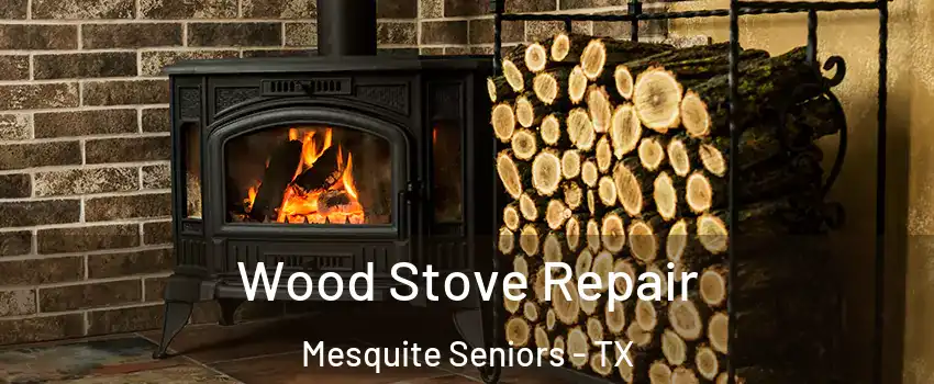 Wood Stove Repair Mesquite Seniors - TX